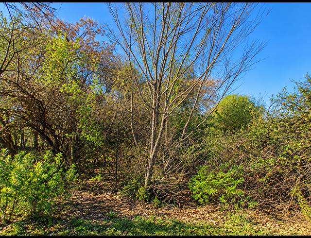 1,672M² VACANT LAND FOR SALE IN ROTHDENE